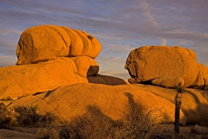 Outdoor Nature Scenery Drucke: Jumbo Rocks area