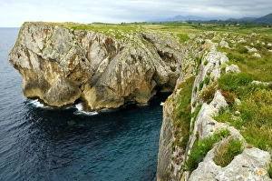 Asturias Coastline Drucke: Karst limestone sea cliffs at Pria