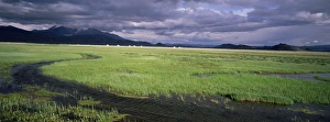 Drucke von Tschadencamp Tolbo in der Provinz Bajan Olgi Mongolei Zentralasien Asien Mongolei Drucke: Kasachischer Lager