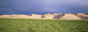 Gobi Desert Scenery Drucke: Khongryn dunes