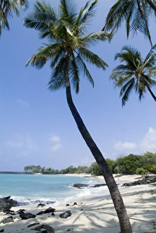 Tropical Coastline Photography Drucke: Kona State Beach