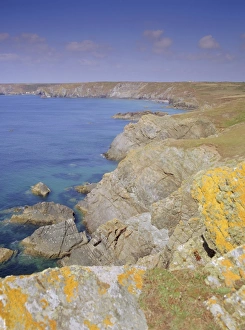 Kynanc Cove ist die Insel The Lizard in der Grafschaft Cornwall im Vereinigten Königreich Großbritannien und Irland (UK), Europa