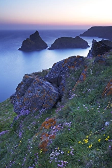 Kynancis Fjord, Die Riesengebirge , Kornwall , England , Vereinigtes Konigreich Europäische Union