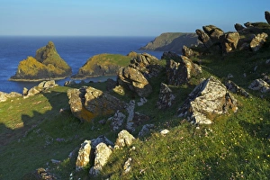 Kynancescove am Lizard in Kornwall im Vereinigten Königreich Großbritannien und Europa