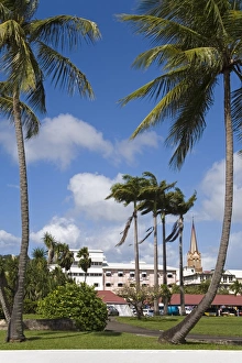 West Indies Island Hopping Drucke: La Savane Park