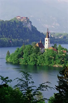 Drucke von Bodensee von Bled, Slowenien, Europa Slowenien Drucke: Bodensee, Slowenien
