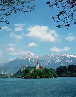 Drucke von Seejungsee Bleed, Slowenien, Europa Slowenien Drucke: Bodensee in Slowenien