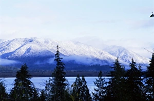 Pacific Northwest Nature Photography Drucke: Lake Quinault