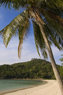 Bilder Datiert 18. Januar 2000: Lahnabucht, Insel Phi-Phi-Don