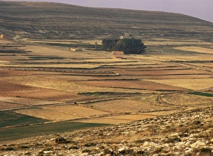 European Union Scenic Views Drucke: Landscape in autumn