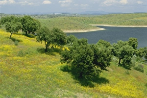 Extremadura Landscape Drucke: Landscape of fields