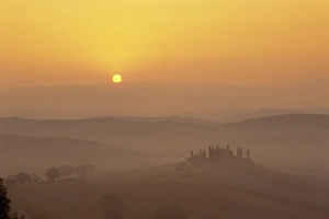 Cypress Tree Silhouette Drucke: Landscape of fields and cypress trees at sunset in
