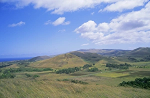 Pacific Island Scenery Drucke: Landscape of interior, Easter Island, Chile, Pacific