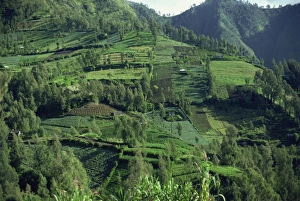 Indonesia Landscape Photography Drucke: Landscape in Mount Bromo region, Java, Indonesia, Southeast Asia, Asia