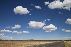 Blue Sky Scenic View Drucke: Landscape, Nevada