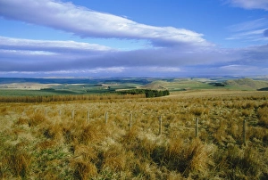 Uk Rural Scenery Drucke: Landscape in the Scottish Borders