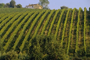 Italian Hilltop Villages Drucke: Landscape, St