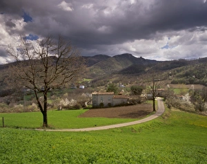 Italian Countryside Photos Drucke: Landscape of Val d Arda