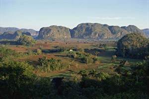 Cuba UNESCO World Heritage Site Drucke: Landscape view of fields and trees in valley, with hills beyond, Vinales Valley