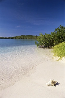 Nature Photography In America Drucke: Lanqui, Los Roques