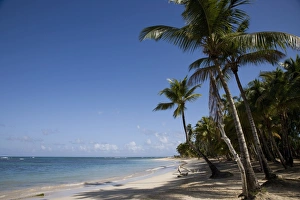Drucke von Die Las Terrenas am Fuß der Samanahalbinsel in der Dominikanischen Republik im westlichen Karibik Dominikanische Republik Drucke: Die Las Terrenas in der Dominikanischen Republik auf der Samauna-Halbinsel im Karibische Meer