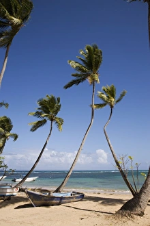 West Indies Ocean View Drucke: Las Terrenas, Samana Peninsula, Dominican Republic, West Indies, Caribbean