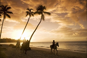 Caribbean Coast Scenery Drucke: Las Terrenas at sunset, Samana Peninsula, Dominican Republic, West Indies