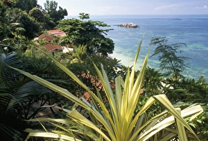 Seychelles Travel Destination Drucke: Lazio Beach