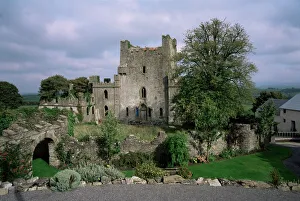 Republik Irland Drucke: Springbrunnenburg