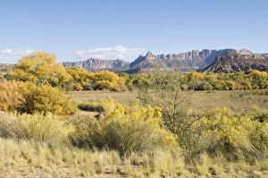 Outdoor Travel Destinations USA Drucke: _LEF4769