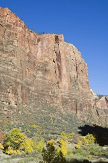 Vertical Landscape Photography Tips Drucke: _LEF4849