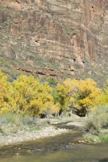 American Canyon Landscapes Drucke: _LEF4853