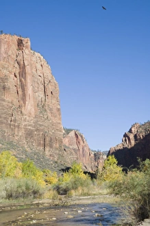 Sandstone Cliff Formation Drucke: _LEF4854