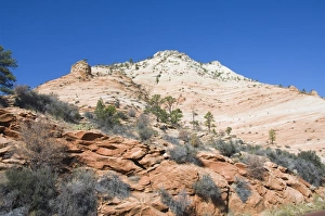 American Wilderness Drucke: _LEF4873