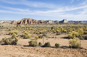 US National Parks Scenic Landscapes Drucke: _LEF5172