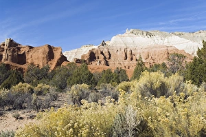 North America Wilderness Scenes Drucke: _LEF5212