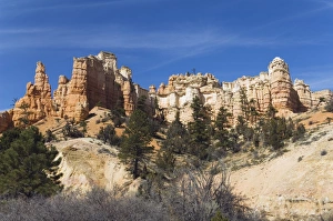 Cedar Breaks National Monument Drucke: _LEF5238