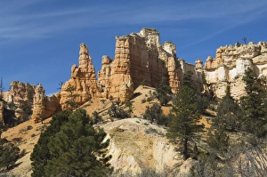 Cedar Breaks National Monument Drucke: _LEF5240