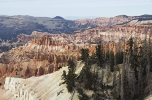 Cedar Breaks National Monument Drucke: _LEF5248