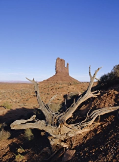 Blue Sky Rock Formation Drucke: Left Mitten Butte