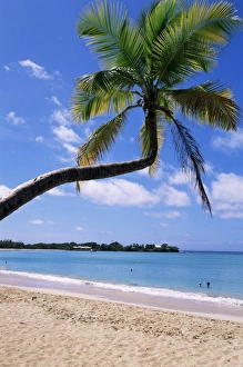 West Indies Beaches Drucke: Les Salines beach