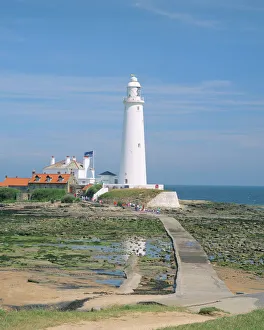Northumberland Drucke: Fahrzeugleuchtturm auf der Insel Sankt Maria bei Whitley Bay in Nordnorthumberland