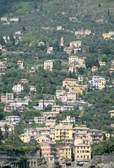 Italian Riviera Views Drucke: Liguria coast