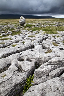 Yorkshire Dales Scenery Drucke: Limestone Pavement and Standing Stone