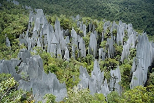 Bilder vom 5. August 2008: Kalkfelsen auf dem Berg Api