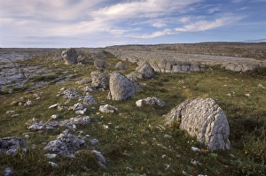 Limestone Landscape Drucke: Limestone plateau