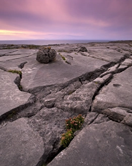County Clare Scenery Drucke: Limestone plateau at sunset