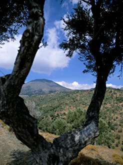 Aegean Islands Europe Drucke: Limno (Lemnos)