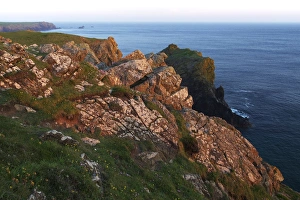 Cornish Sea Cliffs Drucke: Lion Rock and Lizard Point, The Lizard, Cornwall, England, United Kingdom, Europe