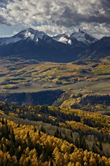 Vertical Landscape Images Drucke: Lizard Head and yellow aspens in the fall, Uncompahgre National Forest, Colorado